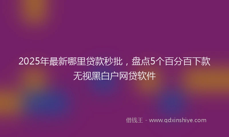 2025年最新哪里贷款秒批，盘点5个百分百下款无视黑白户网贷软件