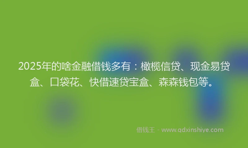 2025年的啥金融借钱多有：橄榄信贷、现金易贷盒、口袋花、快借速贷宝盒、森森钱包等。