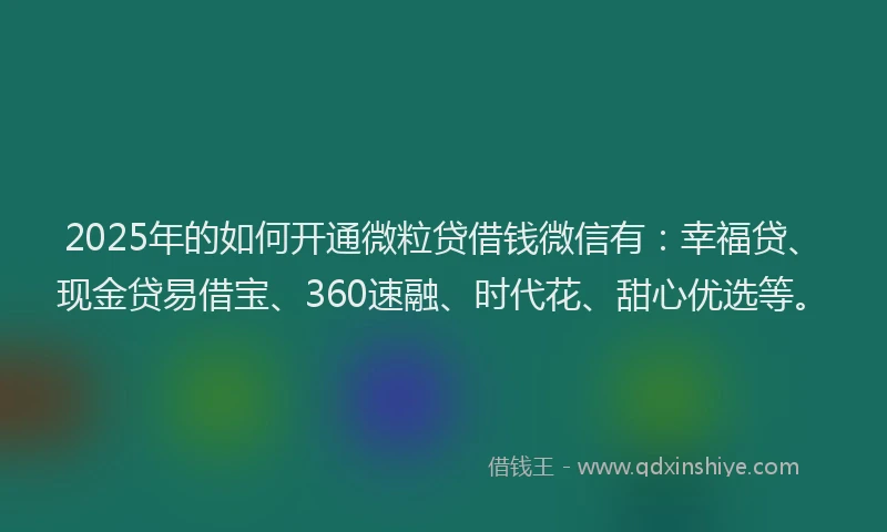 2025年的如何开通微粒贷借钱微信有：幸福贷、现金贷易借宝、360速融、时代花、甜心优选等。