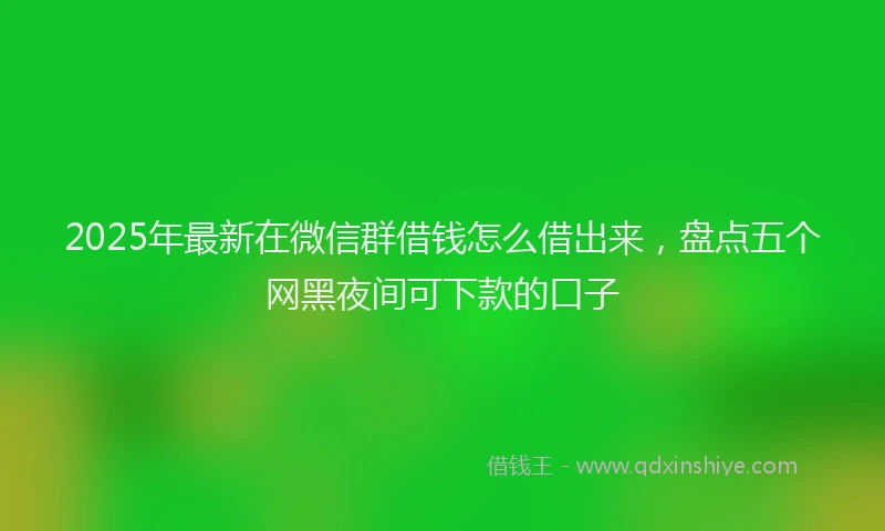 2025年最新在微信群借钱怎么借出来，盘点五个网黑夜间可下款的口子