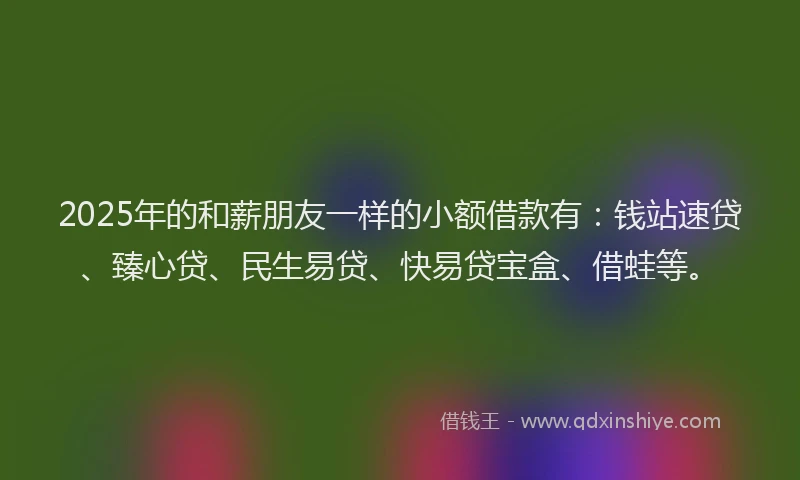 2025年的和薪朋友一样的小额借款有：钱站速贷、臻心贷、民生易贷、快易贷宝盒、借蛙等。