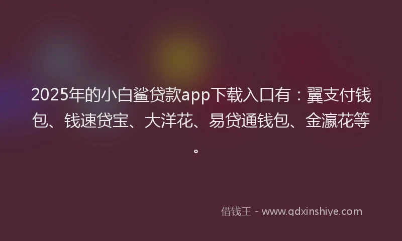 2025年的小白鲨贷款app下载入口有：翼支付钱包、钱速贷宝、大洋花、易贷通钱包、金瀛花等。