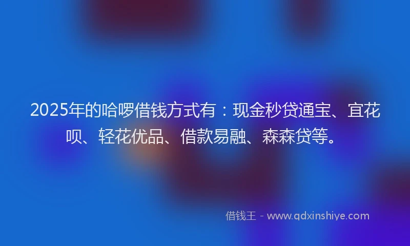 2025年的哈啰借钱方式有：现金秒贷通宝、宜花呗、轻花优品、借款易融、森森贷等。