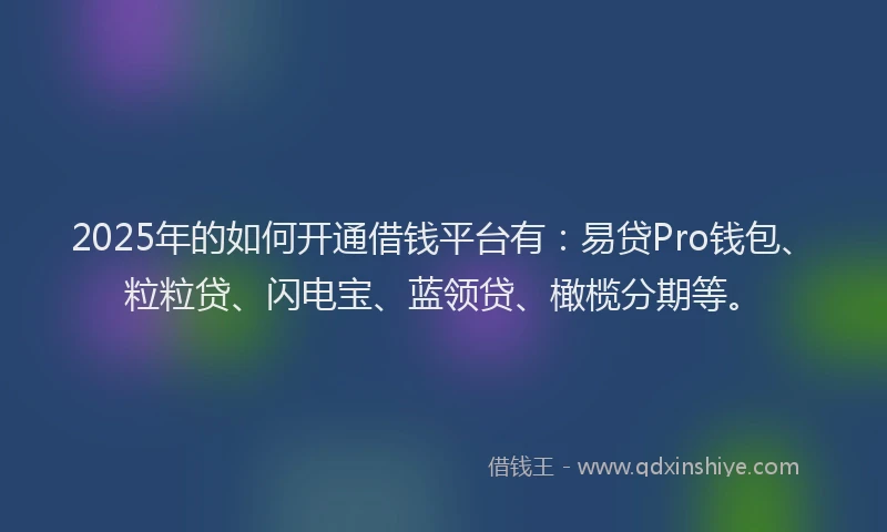 2025年的如何开通借钱平台有：易贷Pro钱包、粒粒贷、闪电宝、蓝领贷、橄榄分期等。