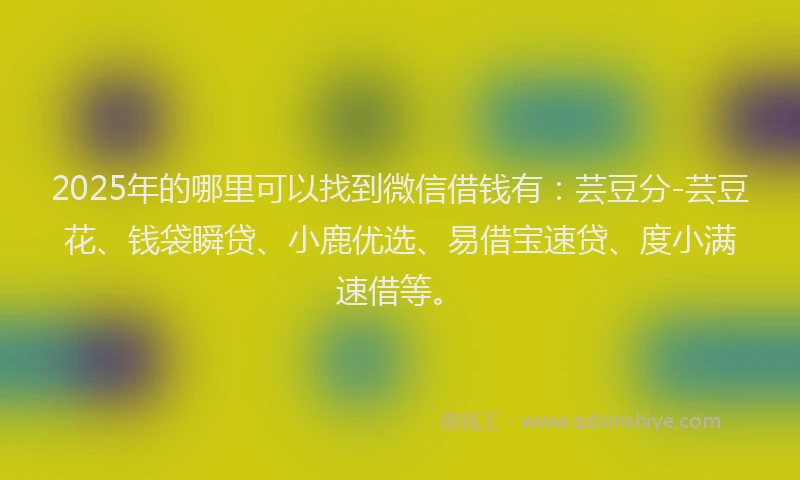 2025年的哪里可以找到微信借钱有：芸豆分-芸豆花、钱袋瞬贷、小鹿优选、易借宝速贷、度小满速借等。