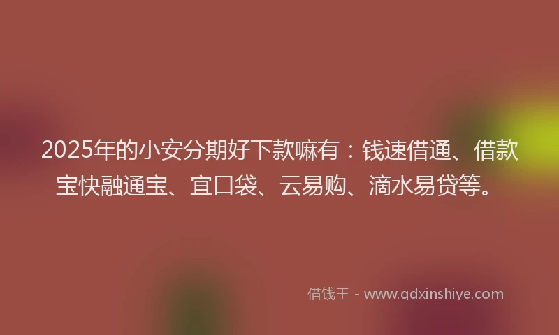 2025年的小安分期好下款嘛有：钱速借通、借款宝快融通宝、宜口袋、云易购、滴水易贷等。