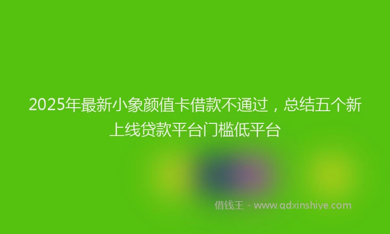 2025年最新小象颜值卡借款不通过，总结五个新上线贷款平台门槛低平台