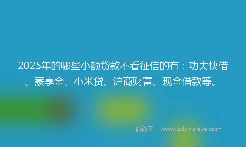 2025年的哪些小额贷款不看征信的有：功夫快借、蒙享金、小米贷、沪商财富、现金借款等。