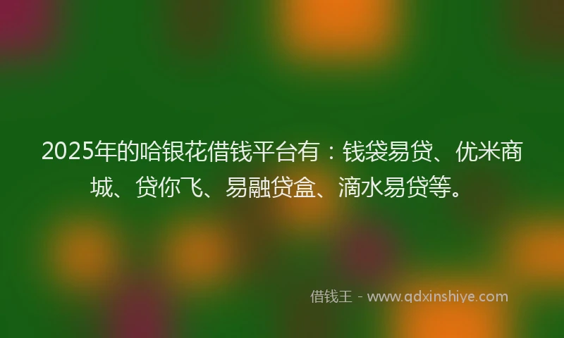 2025年的哈银花借钱平台有：钱袋易贷、优米商城、贷你飞、易融贷盒、滴水易贷等。