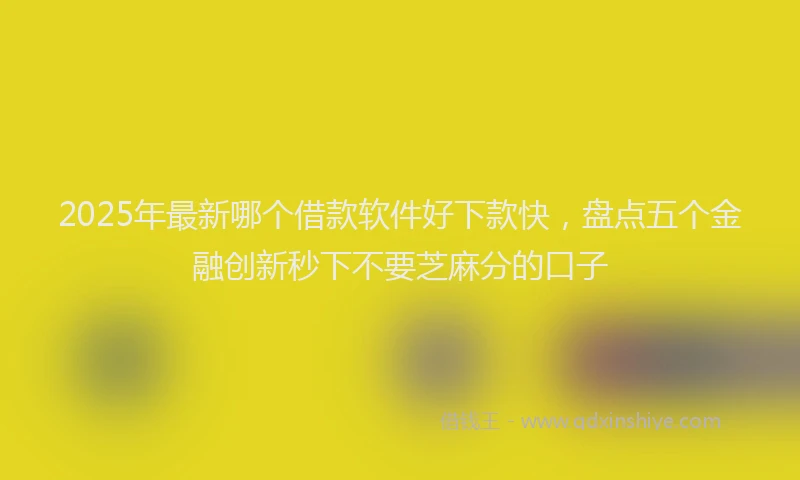 2025年最新哪个借款软件好下款快，盘点五个金融创新秒下不要芝麻分的口子