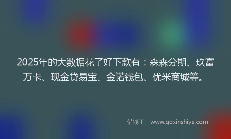 2025年的大数据花了好下款有：森森分期、玖富万卡、现金贷易宝、金诺钱包、优米商城等。