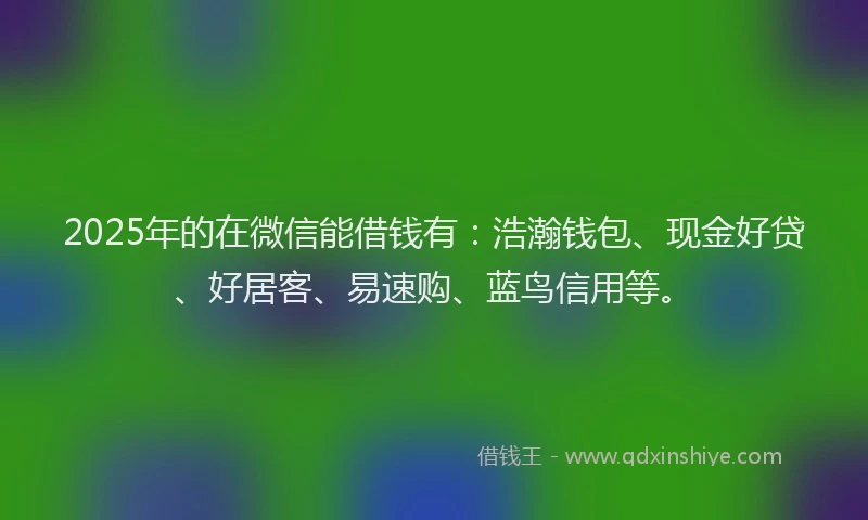 2025年的在微信能借钱有：浩瀚钱包、现金好贷、好居客、易速购、蓝鸟信用等。