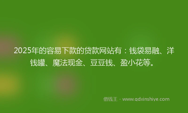 2025年的容易下款的贷款网站有：钱袋易融、洋钱罐、魔法现金、豆豆钱、盈小花等。