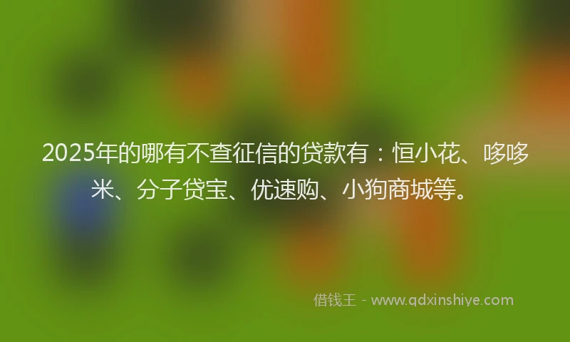 2025年的哪有不查征信的贷款有：恒小花、哆哆米、分子贷宝、优速购、小狗商城等。