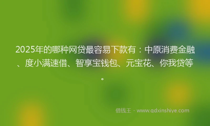 2025年的哪种网贷最容易下款有：中原消费金融、度小满速借、智享宝钱包、元宝花、你我贷等。