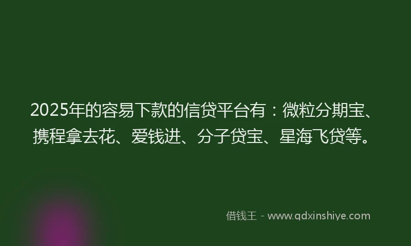 2025年的容易下款的信贷平台有：微粒分期宝、携程拿去花、爱钱进、分子贷宝、星海飞贷等。