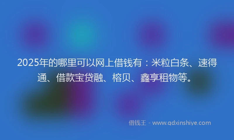 2025年的哪里可以网上借钱有：米粒白条、速得通、借款宝贷融、榕贝、鑫享租物等。