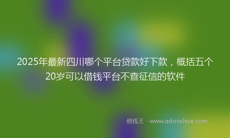 2025年最新四川哪个平台贷款好下款，概括五个20岁可以借钱平台不查征信的软件