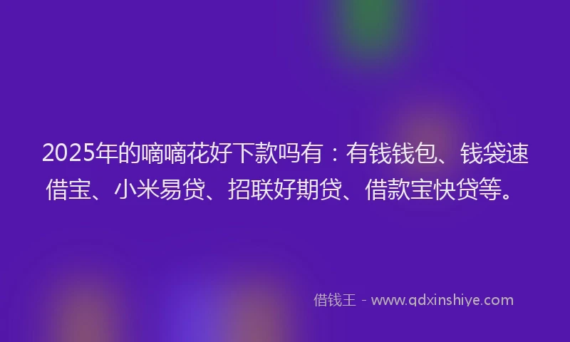 2025年的嘀嘀花好下款吗有：有钱钱包、钱袋速借宝、小米易贷、招联好期贷、借款宝快贷等。