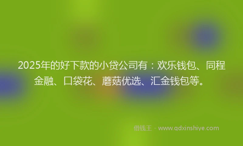 2025年的好下款的小贷公司有：欢乐钱包、同程金融、口袋花、蘑菇优选、汇金钱包等。