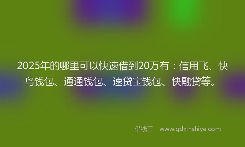 2025年的哪里可以快速借到20万有：信用飞、快鸟钱包、通通钱包、速贷宝钱包、快融贷等。