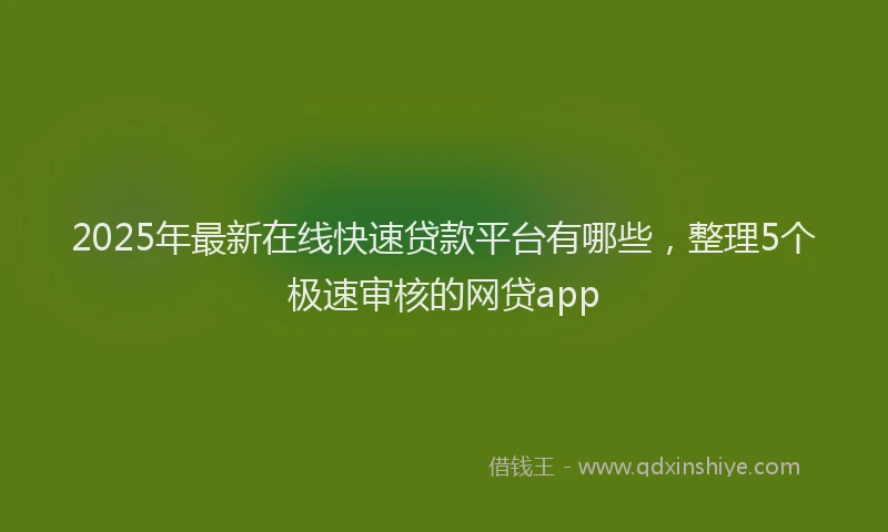 2025年最新在线快速贷款平台有哪些，整理5个极速审核的网贷app