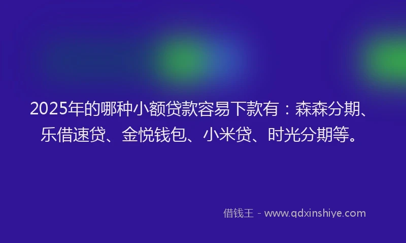 2025年的哪种小额贷款容易下款有：森森分期、乐借速贷、金悦钱包、小米贷、时光分期等。