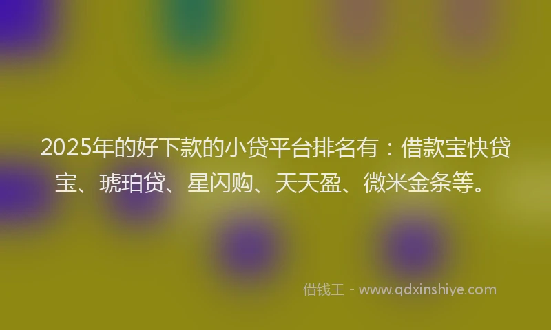 2025年的好下款的小贷平台排名有：借款宝快贷宝、琥珀贷、星闪购、天天盈、微米金条等。