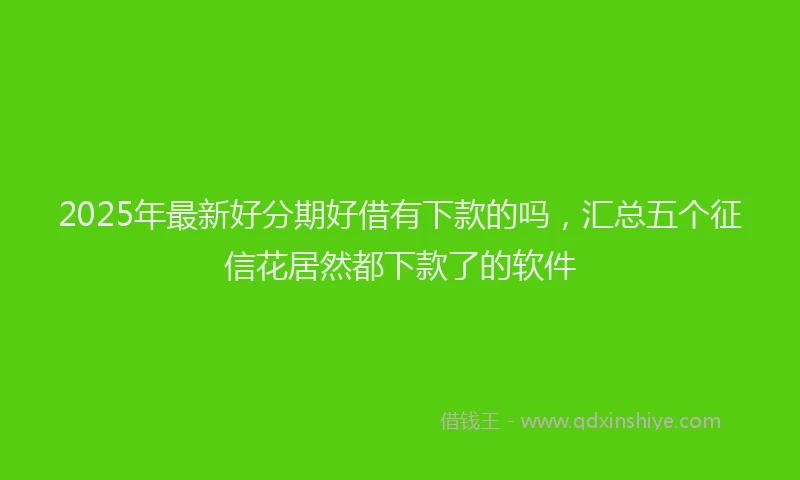 2025年最新好分期好借有下款的吗，汇总五个征信花居然都下款了的软件