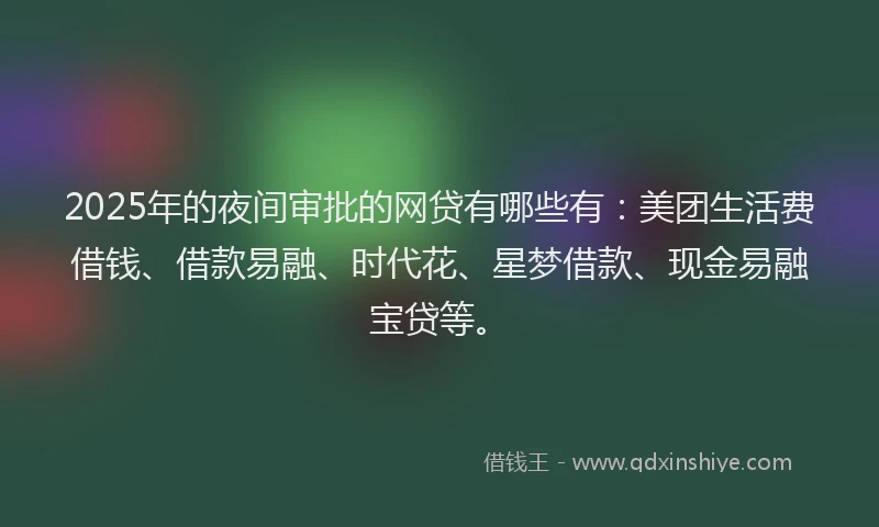 2025年的夜间审批的网贷有哪些有：美团生活费借钱、借款易融、时代花、星梦借款、现金易融宝贷等。