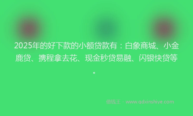 2025年的好下款的小额贷款有：白象商城、小金鹿贷、携程拿去花、现金秒贷易融、闪银快贷等。