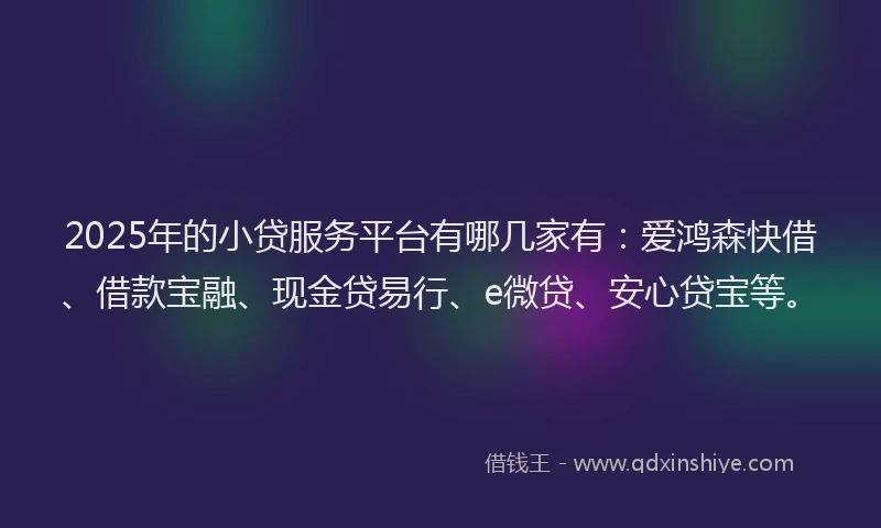 2025年的小贷服务平台有哪几家有：爱鸿森快借、借款宝融、现金贷易行、e微贷、安心贷宝等。