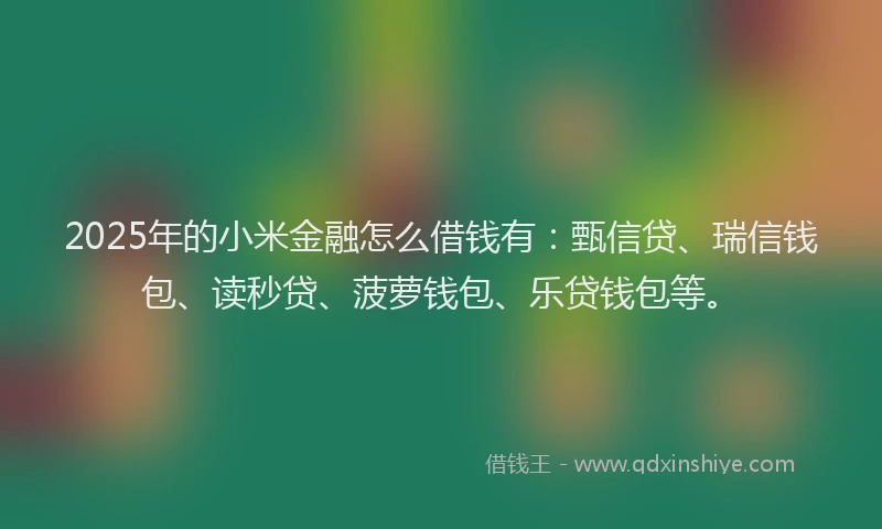 2025年的小米金融怎么借钱有：甄信贷、瑞信钱包、读秒贷、菠萝钱包、乐贷钱包等。