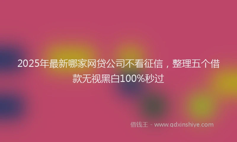 2025年最新哪家网贷公司不看征信，整理五个借款无视黑白100%秒过
