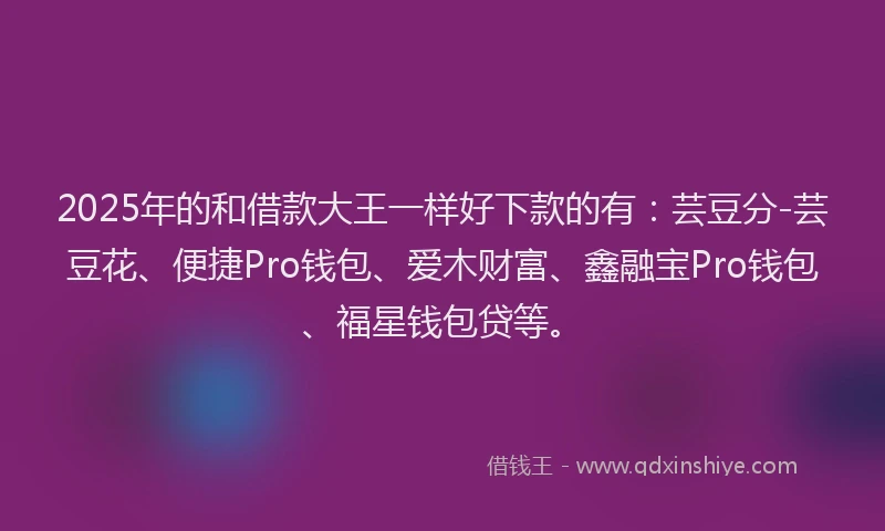 2025年的和借款大王一样好下款的有：芸豆分-芸豆花、便捷Pro钱包、爱木财富、鑫融宝Pro钱包、福星钱包贷等。
