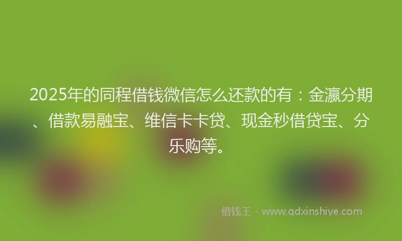 2025年的同程借钱微信怎么还款的有：金瀛分期、借款易融宝、维信卡卡贷、现金秒借贷宝、分乐购等。