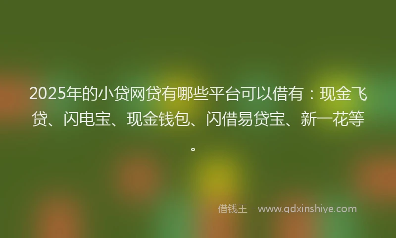 2025年的小贷网贷有哪些平台可以借有：现金飞贷、闪电宝、现金钱包、闪借易贷宝、新一花等。