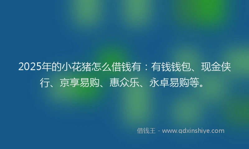 2025年的小花猪怎么借钱有：有钱钱包、现金侠行、京享易购、惠众乐、永卓易购等。