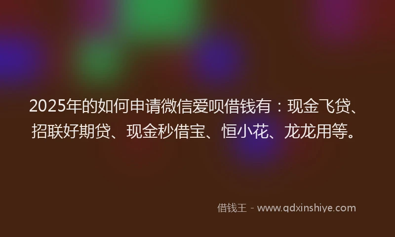2025年的如何申请微信爱呗借钱有：现金飞贷、招联好期贷、现金秒借宝、恒小花、龙龙用等。