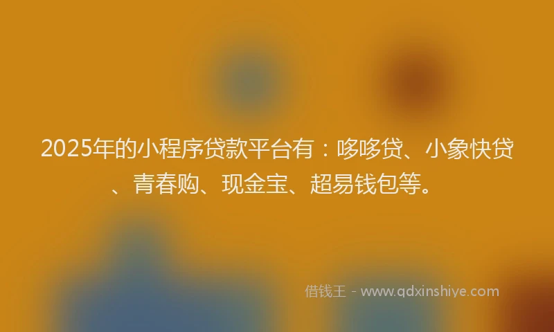 2025年的小程序贷款平台有：哆哆贷、小象快贷、青春购、现金宝、超易钱包等。