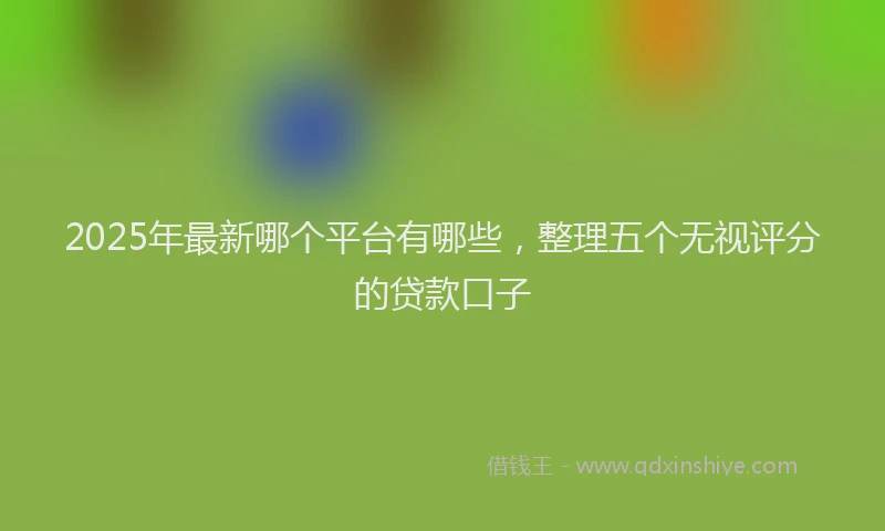 2025年最新哪个平台有哪些，整理五个无视评分的贷款口子