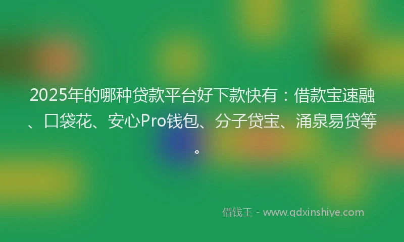 2025年的哪种贷款平台好下款快有：借款宝速融、口袋花、安心Pro钱包、分子贷宝、涌泉易贷等。
