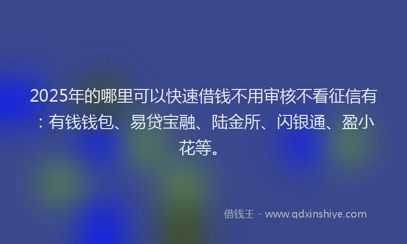 2025年的哪里可以快速借钱不用审核不看征信有：有钱钱包、易贷宝融、陆金所、闪银通、盈小花等。