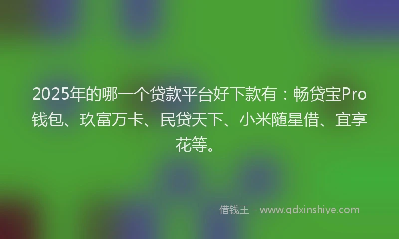 2025年的哪一个贷款平台好下款有：畅贷宝Pro钱包、玖富万卡、民贷天下、小米随星借、宜享花等。