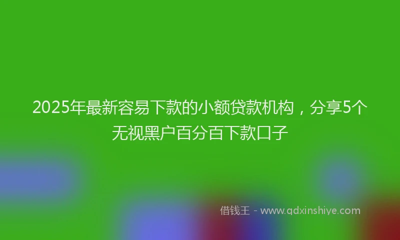 2025年最新容易下款的小额贷款机构，分享5个无视黑户百分百下款口子