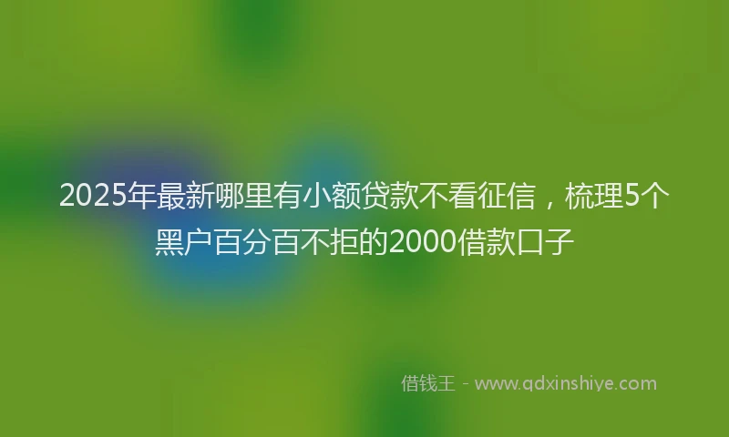 2025年最新哪里有小额贷款不看征信，梳理5个黑户百分百不拒的2000借款口子