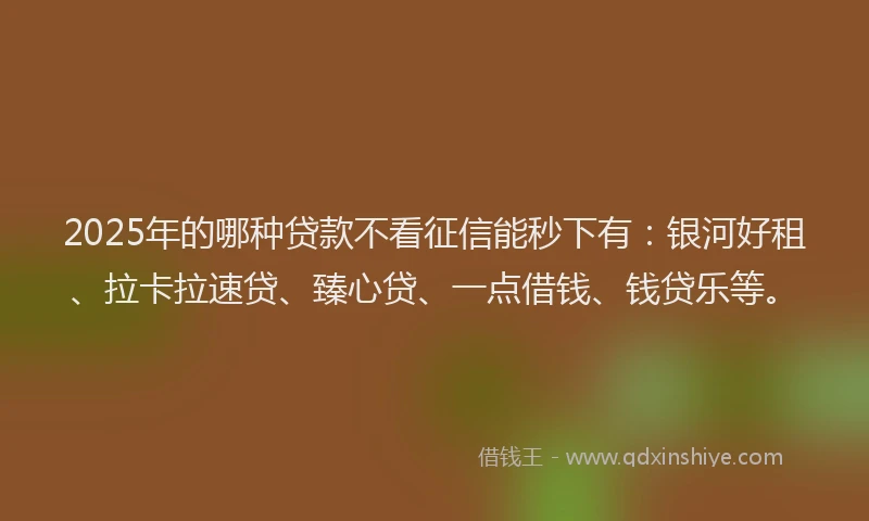 2025年的哪种贷款不看征信能秒下有：银河好租、拉卡拉速贷、臻心贷、一点借钱、钱贷乐等。