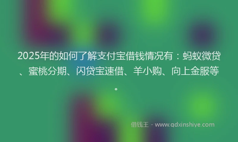 2025年的如何了解支付宝借钱情况有：蚂蚁微贷、蜜桃分期、闪贷宝速借、羊小购、向上金服等。