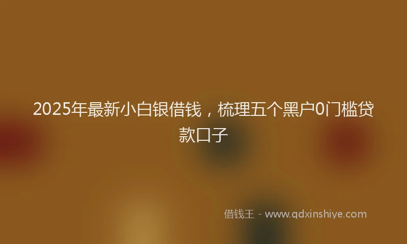 2025年最新小白银借钱，梳理五个黑户0门槛贷款口子