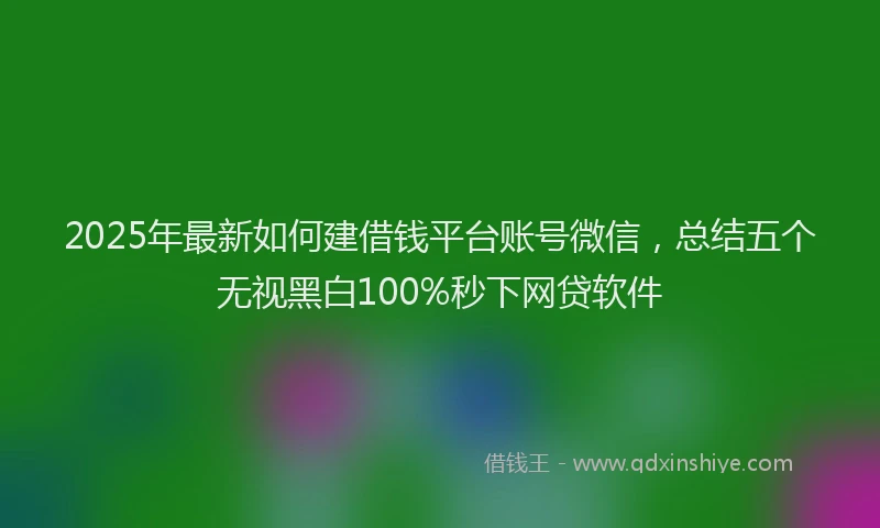2025年最新如何建借钱平台账号微信，总结五个无视黑白100%秒下网贷软件